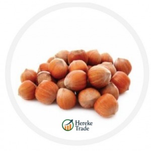 Shelled Hazelnuts